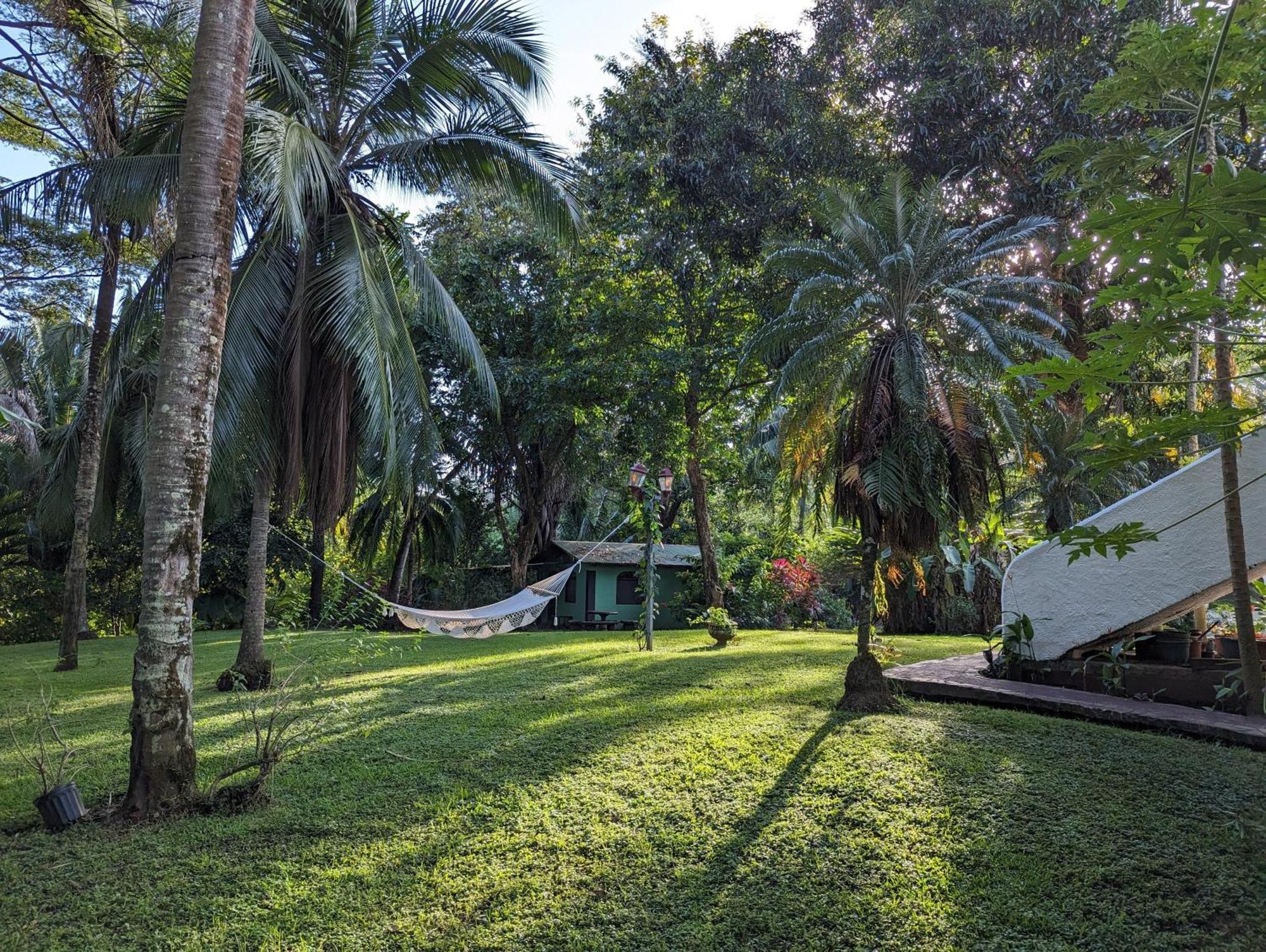 Spirit Of Jungle Lodge Sámara Buitenkant foto