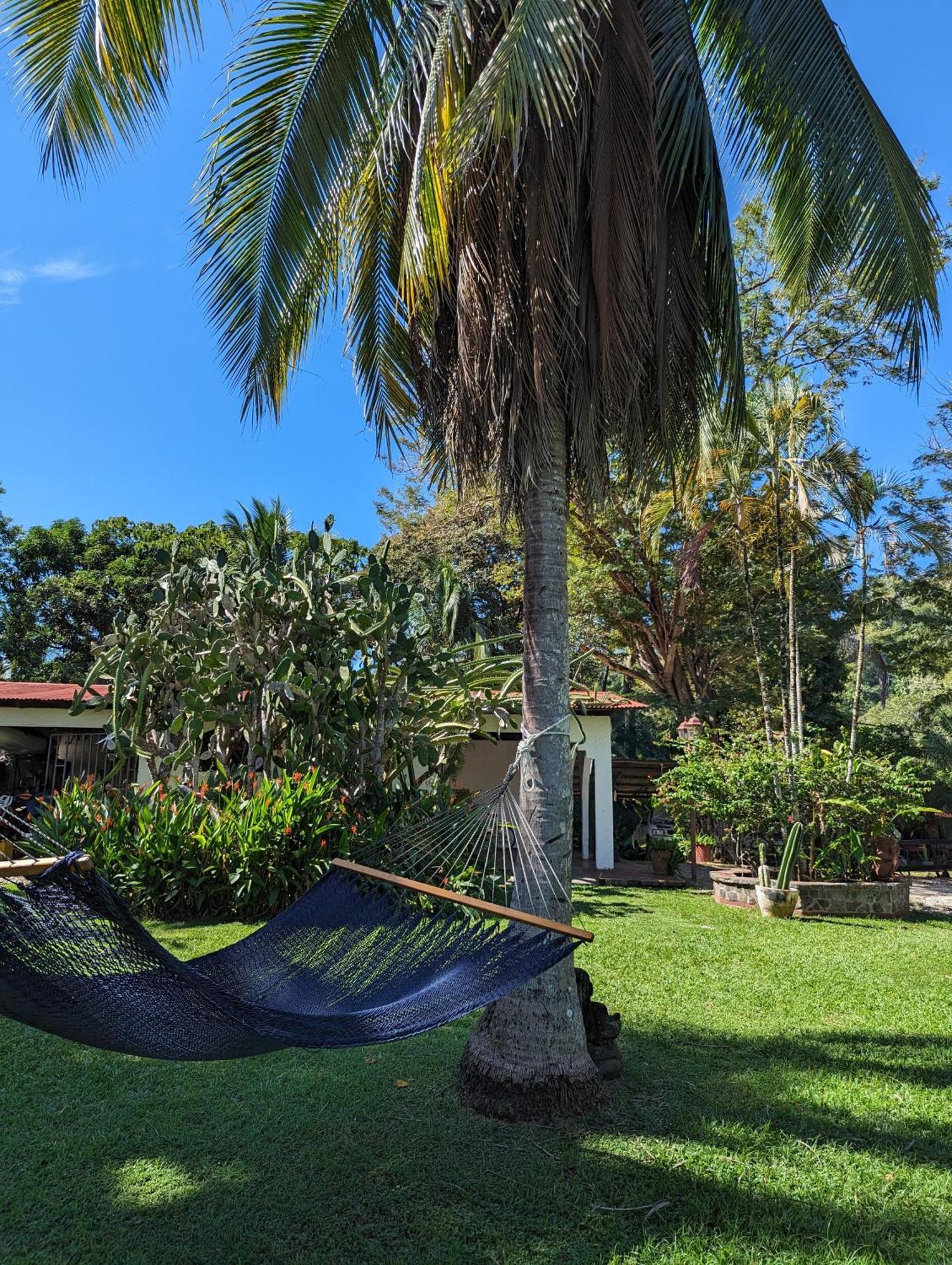 Spirit Of Jungle Lodge Sámara Buitenkant foto